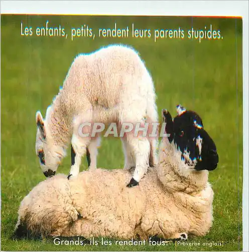 Cartes postales moderne Les Enfants petits Rendent leurs Parents Stupides Moutons