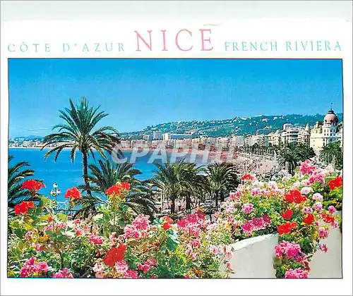 Moderne Karte Nice (Alpes Maritimes) Cote d'Azur French Riviera
