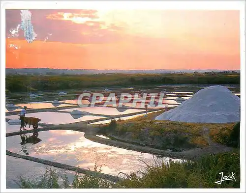 Cartes postales moderne Les Marais Salants Cote Atlantiques