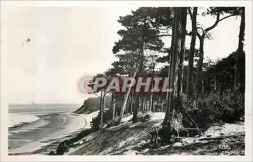 Cartes postales moderne Le Moulleau Cote d'Argent Plage des Abatialles