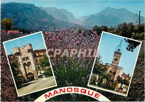 Cartes postales moderne Manosque Alpes de Haute Provence Au Pays de la Lavande