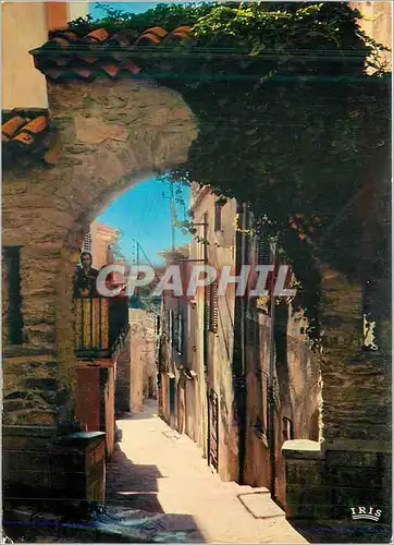 Cartes postales moderne Bormes les Mimosas (Var) Rue Rompicuou Reflets de la Cote d'Azur