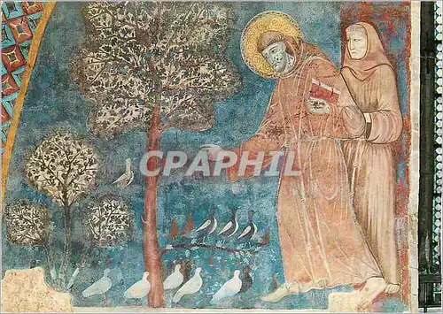 Cartes postales moderne Assisi Basilica di S Francesco (Chiesa Inferiore)