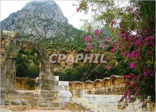 Cartes postales moderne Republique Tunisienne