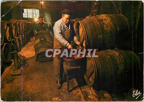 Cartes postales Un Grand Chai de Vin de Bordeaux avec le Maitre de Chai