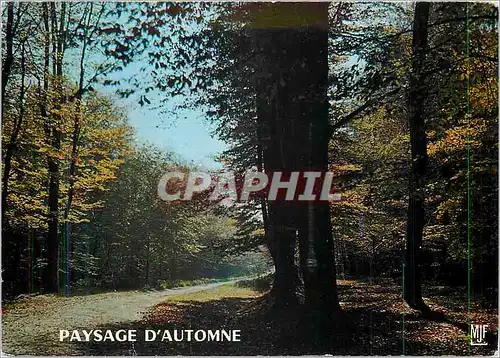 Moderne Karte Paysage d'Automne