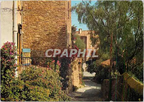 Cartes postales moderne Bormes les Mimosas Coin Pittoresque la Cote d'Azur Varoise