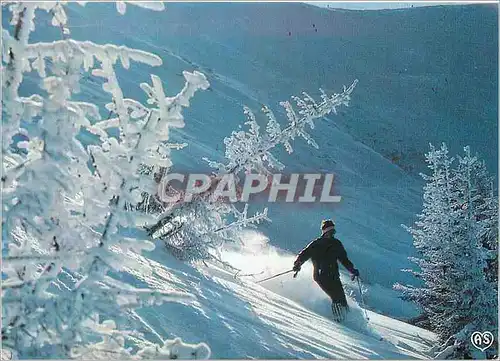 Cartes postales moderne Descente au Milieu des Sapins Images de nos Montagnes en Hiver