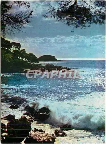 Cartes postales moderne Charme et Soleil de la Cote d'Azur Reflets Argentes dans une Calanque