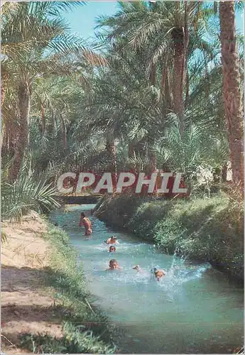 Moderne Karte Tunisie Nefta Palmeraie