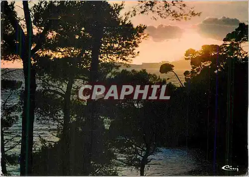 Cartes postales moderne Le Pravet (Var) Coucher de Soleil sur la Plage de Monaco