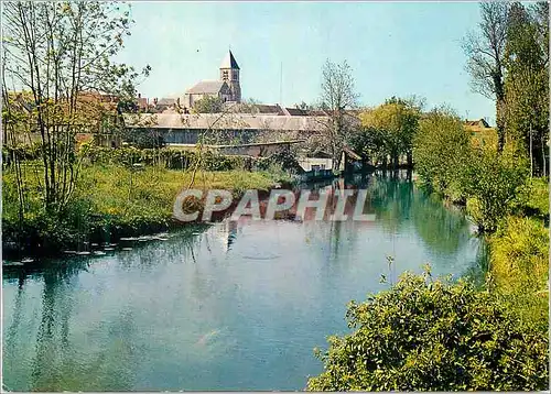 Cartes postales moderne Briarres sur Essonne (Loiret) Sur les Bords de l'Essonne