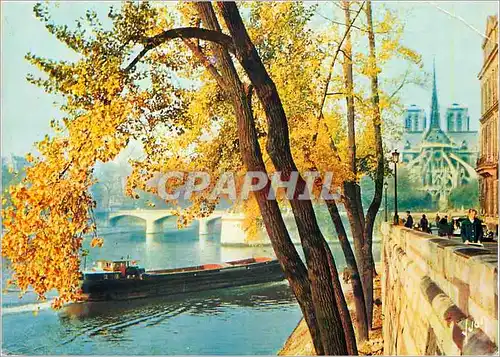 Cartes postales moderne Paris Couleurs et Lumiere de France Notre Dame Vue de l'Ile Saint Louis