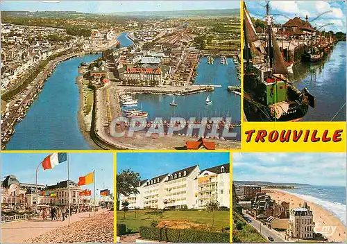 Cartes postales moderne Trouville (Calvados) Vue Aerienne sur la Touques et le Port de Plaisance