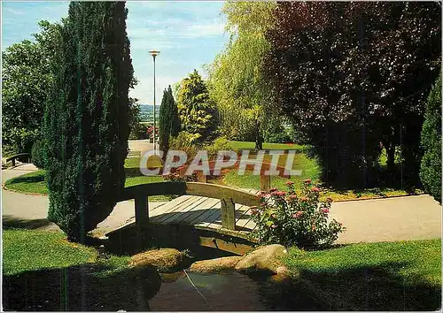 Cartes postales moderne Avranches (Manche) Le Jardin Public