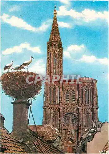 Moderne Karte Souvenir de Strasbourg L'Alsace Pittoresque Cigogne