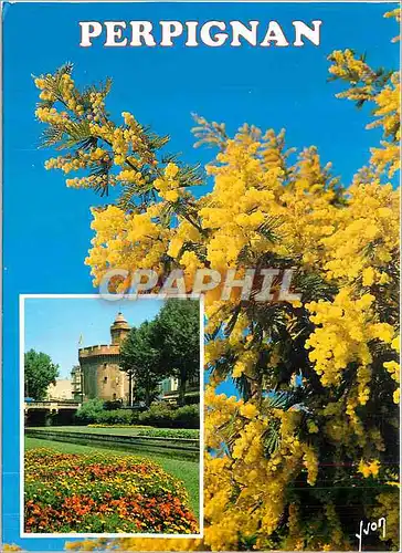 Cartes postales moderne Perpignan (P O) La Cote Vermeille Couleurs et Lumiere de France