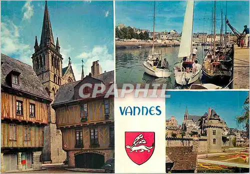Cartes postales moderne Vannes (Morbihan) Les Vieux Quartier Les Remparts et le Port