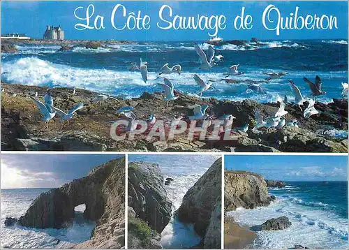 Moderne Karte La Cote Sauvage de Quiberon Couleurs de Bretagne