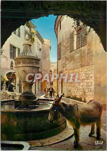 Cartes postales moderne Saint Paul de Vence La Cote d'Azur Halte a la Fontaine Ane Donkey