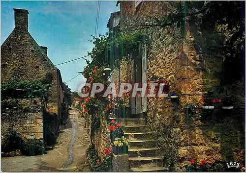Cartes postales moderne Domme La Vallee de Dordogne Vieille Rue et Maisons Fleuries