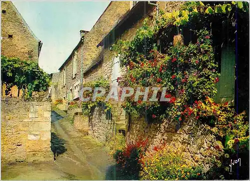 Moderne Karte Domme (Dordogne) Couleurs et Lumiere de France Une Vieille Rue Fleurie