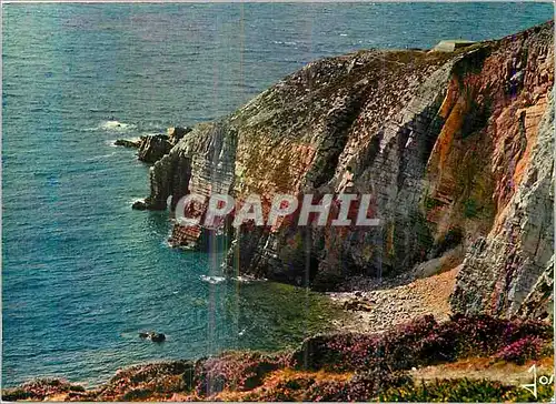 Cartes postales moderne Presqu'Ile de Crozon (Finistere) La Bretagne en Couleurs Le Cap de la Chevre