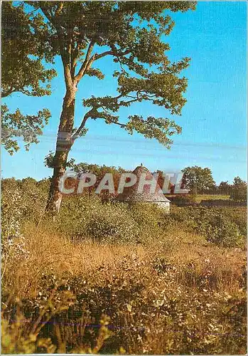 Cartes postales moderne Gariotte sur le Causse (Cabane en Pierre Seche)