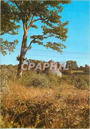 Moderne Karte Gariotte sur le Causse (Cabane en Pierre Seche)