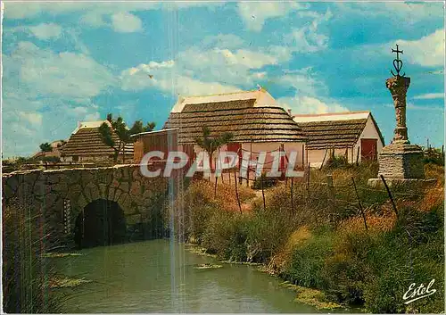 Cartes postales moderne En Camargue Pont du Maure et Croix du Gardian