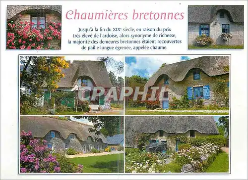 Cartes postales moderne Chaumieres Bretonnes