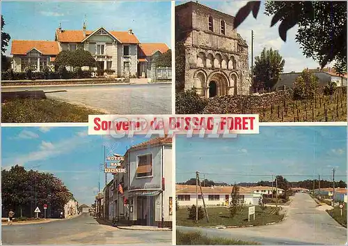 Cartes postales moderne Bussac Foret de Gauche a Droite la Mairie et l'Ecole l'Eglise la Grande Rue la Cite Clemenceau