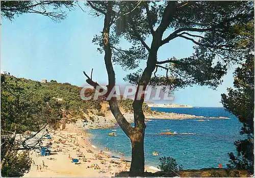 Cartes postales moderne Playa de Aro (Costa Brava)