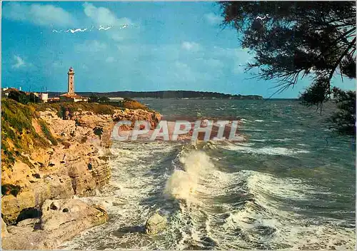Cartes postales moderne Saint Georges de Didonne les Falaises du Phare
