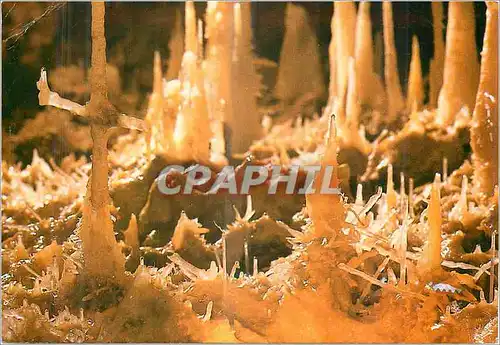 Cartes postales moderne les Eyzies de Tayac (Dordogne) Grotte du Grand Roc