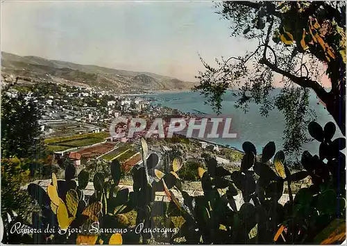 Cartes postales moderne la Cote des Fleurs Sanremo Panorama
