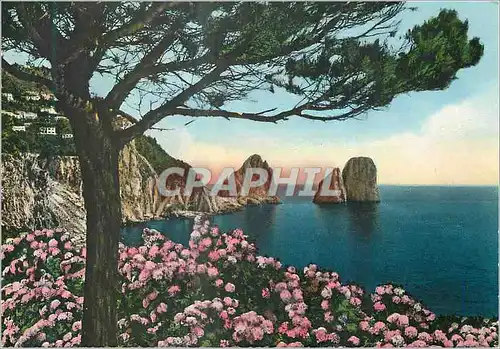 Cartes postales moderne Capri the Crags les Faraglioni