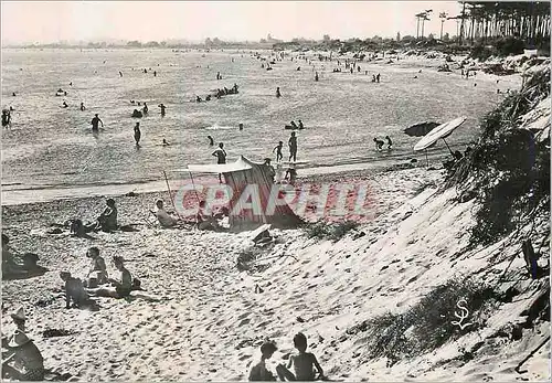 Cartes postales moderne le Grau d'Agde (Herault) la Plage de la Tamarissiere