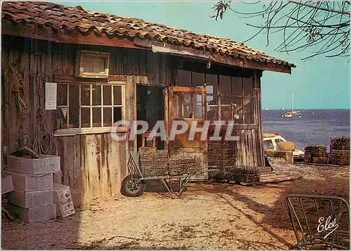 Cartes postales moderne Bassin d'arcachon Une Vielle canale de pecheur sur le bord du bassin