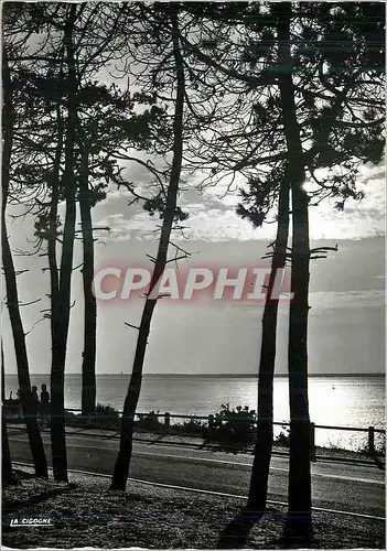 Cartes postales moderne Bassin d'arcachon Gironde Contre jour sur le bassin