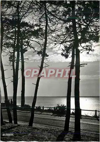 Moderne Karte Bassin d'arcachon Gironde Contre jour sur le bassin