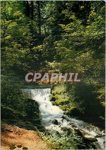 Cartes postales moderne Divonne les bains (ain) La source de la Divonne