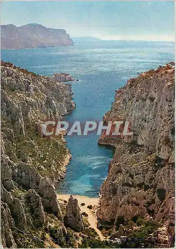 Cartes postales moderne Une Rose a la Boutonniere de la Provence Cassis sur Mer (B du R) Calanque d'En vau