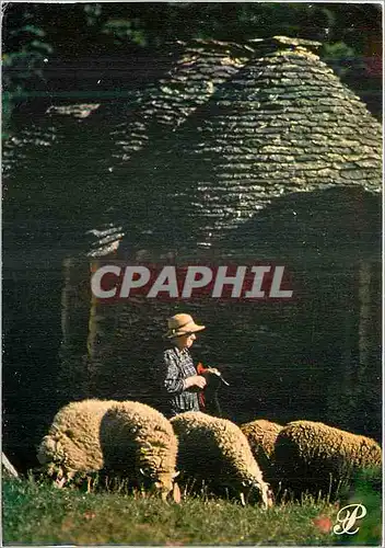 Cartes postales moderne Prestige Dordogne Elevage Moutons