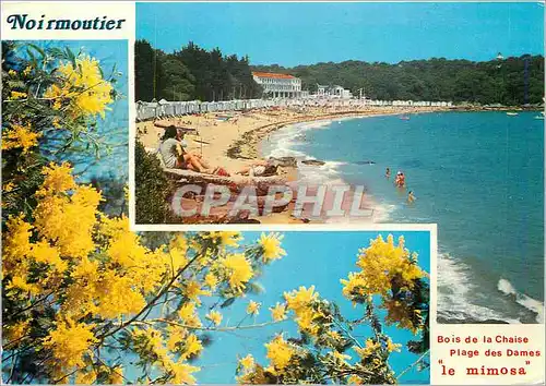 Cartes postales moderne La vendee Touristique Ile de Noirmoutier Plage des Dames et le Bois de la Chaise