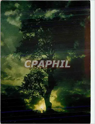 Cartes postales moderne Dans les Alpes Feeries du soir