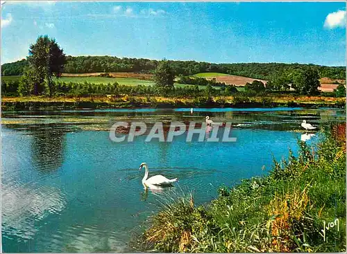 Cartes postales moderne Gamaches (Somme)L'Etang a Voile On y peche aussi