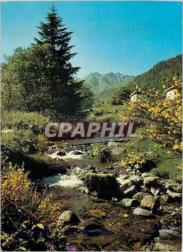 Cartes postales moderne L'Auvergne Pittoresque Le Sancy et la Dordogne au printemps