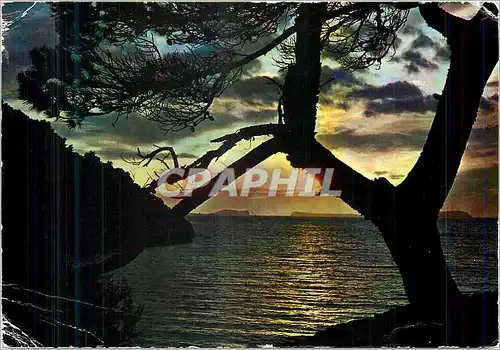 Cartes postales moderne Espana Soleil levant