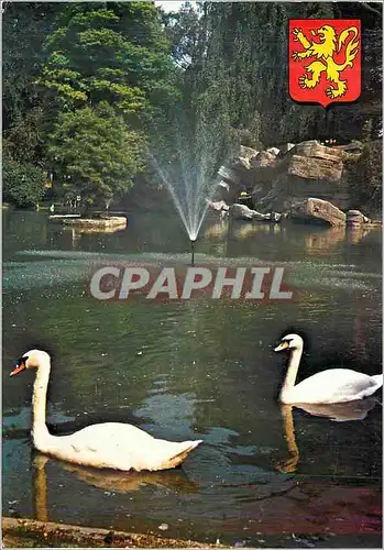 Cartes postales moderne Valenciennes Le parc de la Rhonelle Cygnes